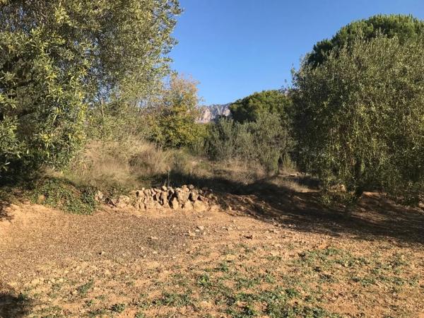 Terreno en El Bruc