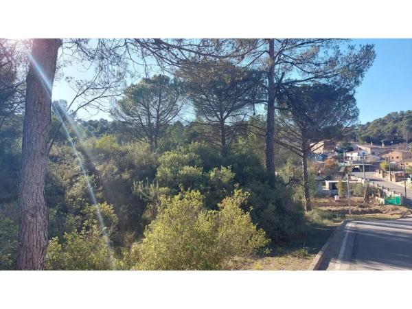 Terreno en calle Barcelona