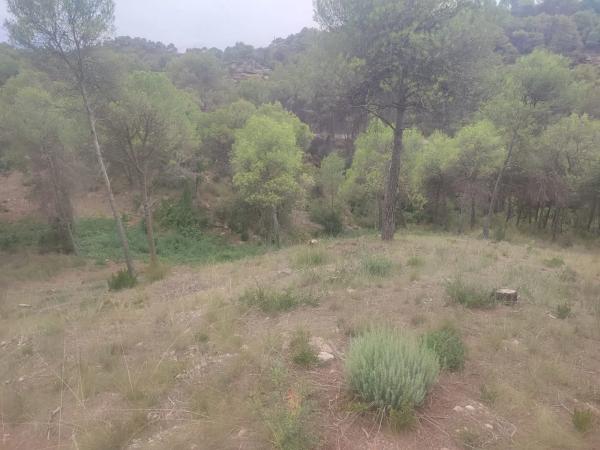 Terreno en calle Barcelona, 6 b