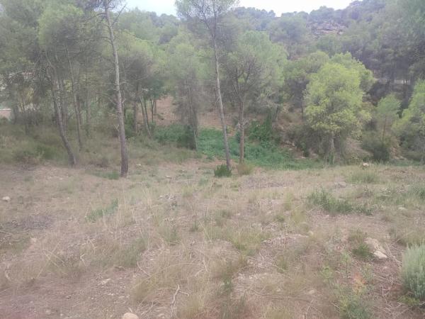 Terreno en calle Barcelona, 6 b