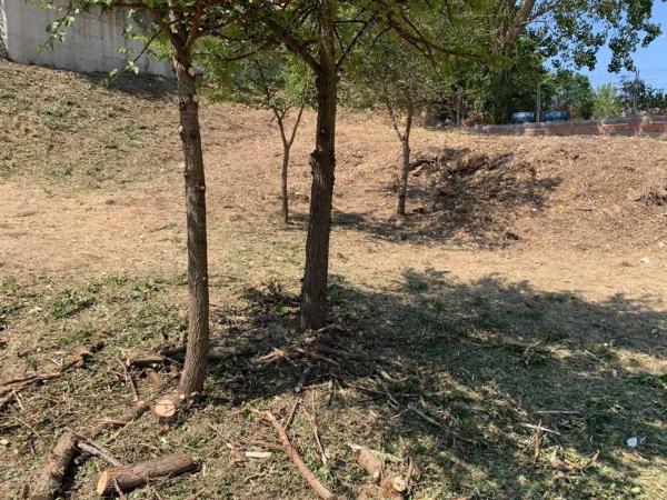 Terreno en avenida de Mallorca, 10