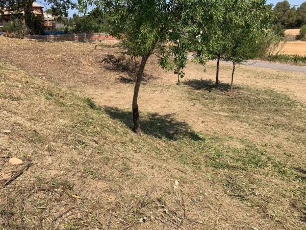 Terreno en avenida de Mallorca, 10