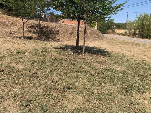 Terreno en avenida de Mallorca, 10