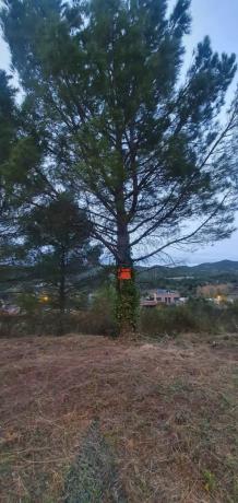 Terreno en Carme