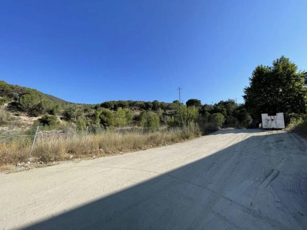 Terreno en paseo Carol