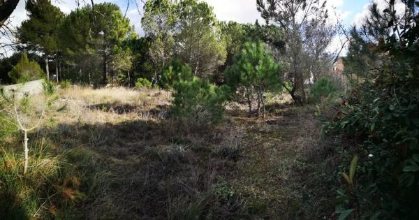 Terreno en La Pobla de Claramunt