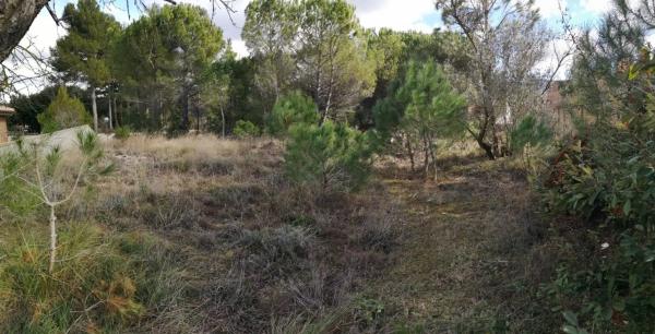 Terreno en La Pobla de Claramunt