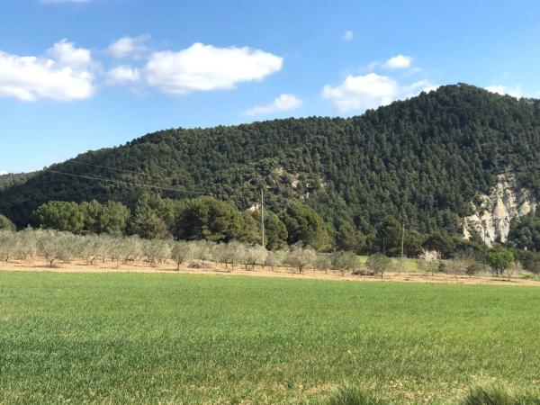 Terreno en riera de castelloli s/n