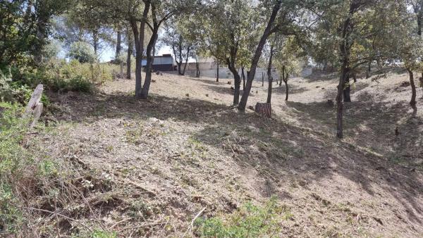 Terreno en Camelia, 12