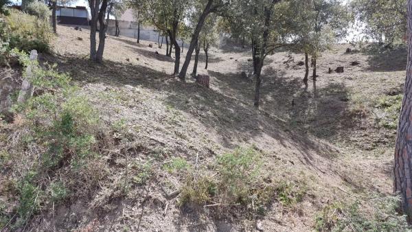 Terreno en Camelia, 12