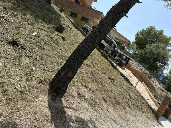 Terreno en Camelia, 12