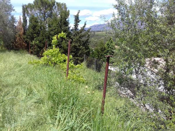 Terreno en avenida Can Parellada Cp, 122