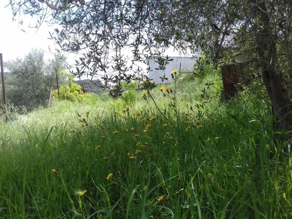 Terreno en avenida Can Parellada Cp, 122