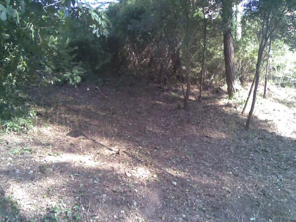 Terreno en calle de s,agaro parcela 420, 420