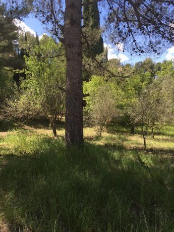 Terreno en calle cirerer, 6 -8