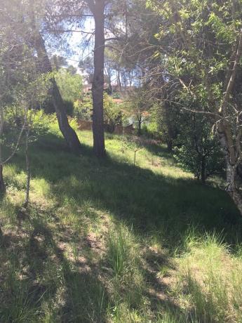 Terreno en calle cirerer, 6 -8