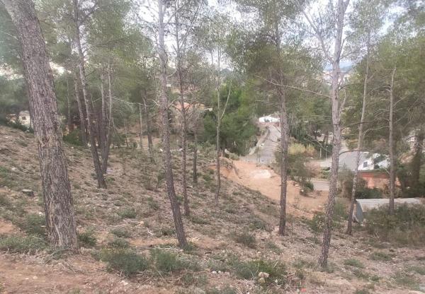 Terreno en calle Lleida s/n