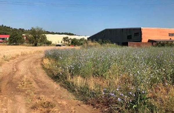 Terreno en calle Manresa