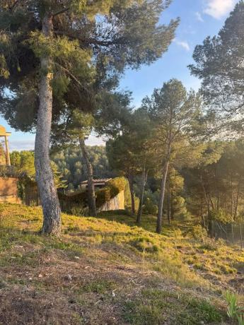 Terreno en calle de la Carena, 164