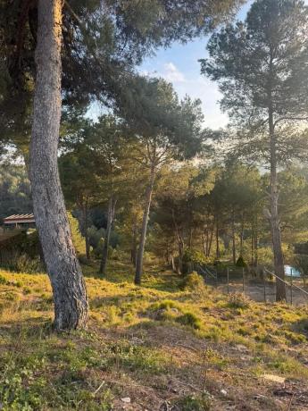 Terreno en calle de la Carena, 164