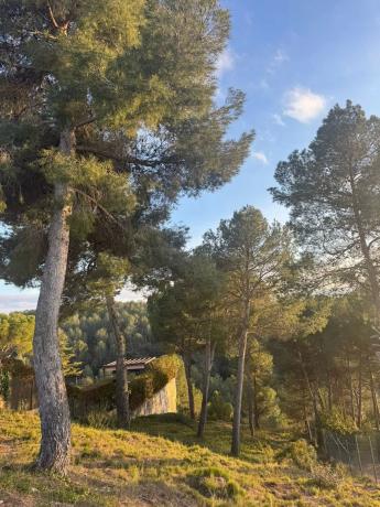 Terreno en calle de la Carena, 164