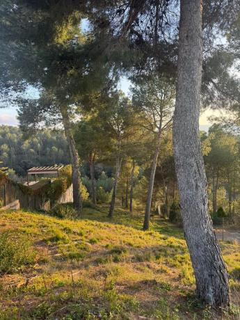 Terreno en calle de la Carena, 164