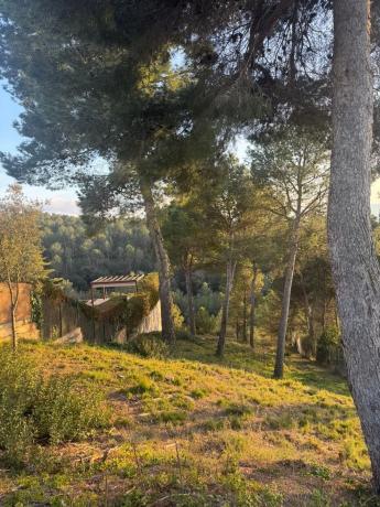 Terreno en calle de la Carena, 164