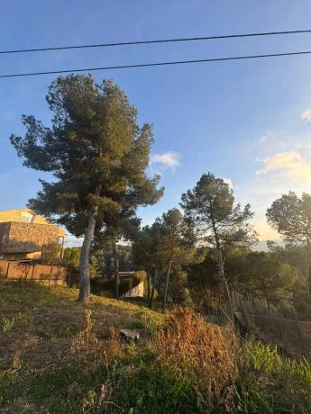 Terreno en calle de la Carena, 164