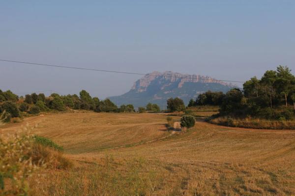 Terreno en calle Lladoners, km 1