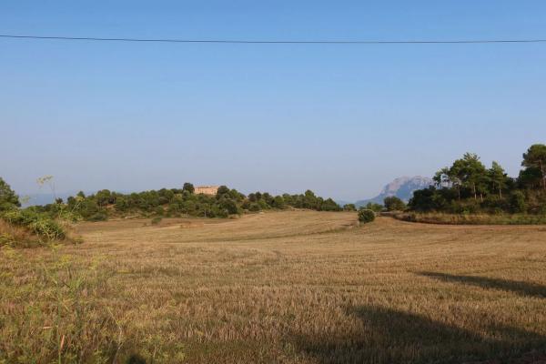 Terreno en calle Lladoners, km 1