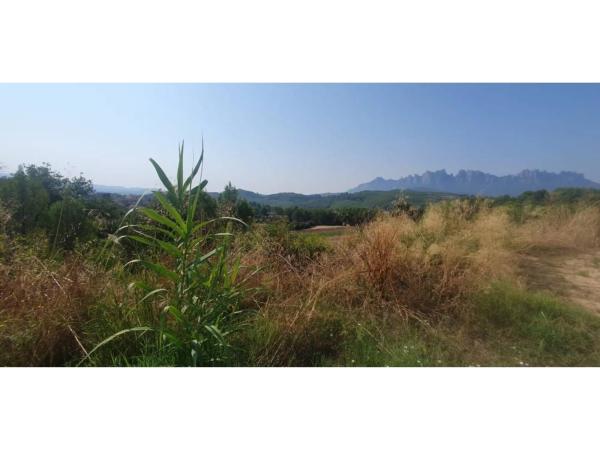 Terreno en calle Josep Pla, 98