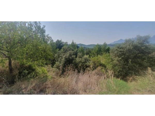 Terreno en calle Josep Pla, 96