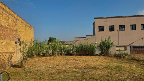 Terreno en calle Tallers, 7