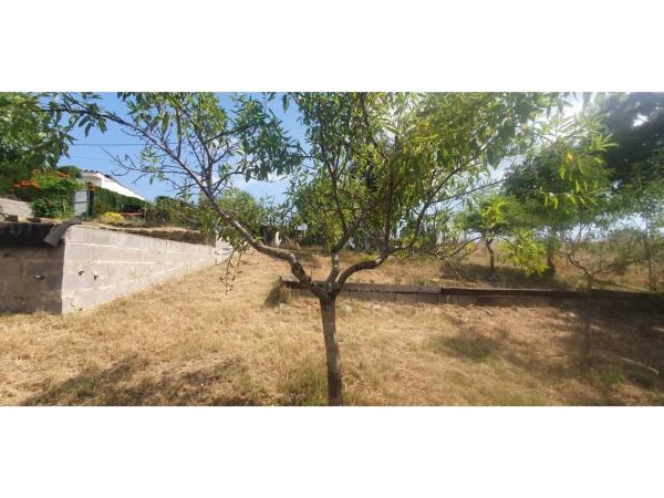 Terreno en El Pont de Vilomara i Rocafort