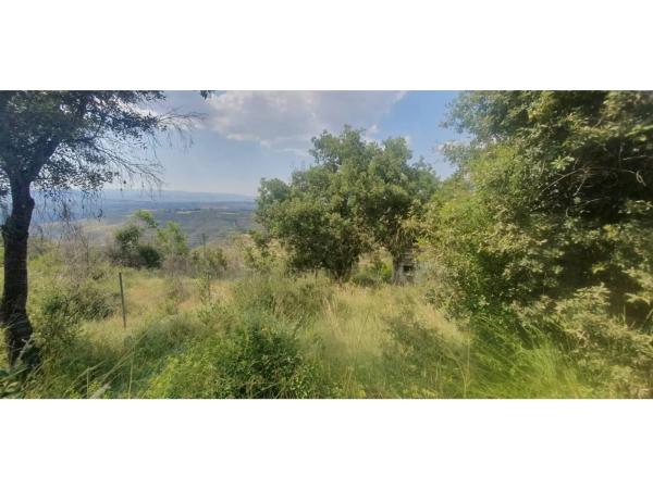 Terreno en El Pont de Vilomara i Rocafort