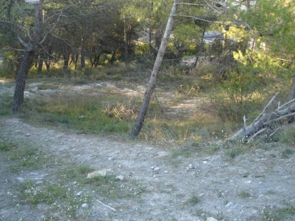 Terreno en calle del Mas Enric