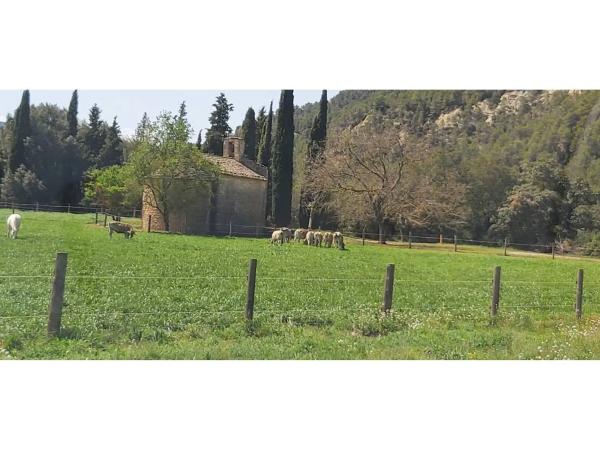 Terreno en calle del Mas Enric