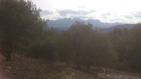 Terreno en carretera del Pont de Vilomara, 7