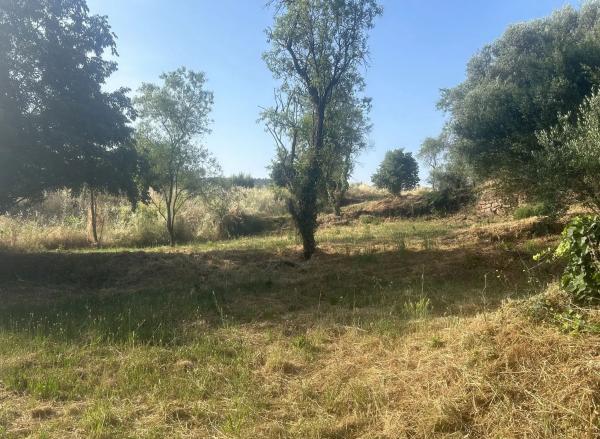 Terreno en calle Sant Cristòfol