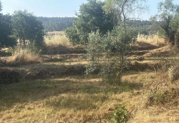 Terreno en calle Sant Cristòfol