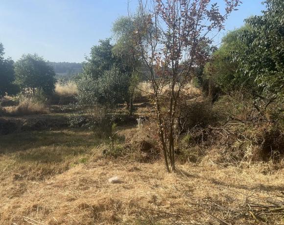 Terreno en calle Sant Cristòfol