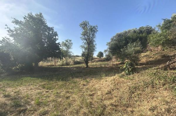 Terreno en calle Sant Cristòfol