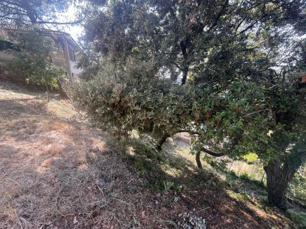 Terreno en calle del Bosquet, 8