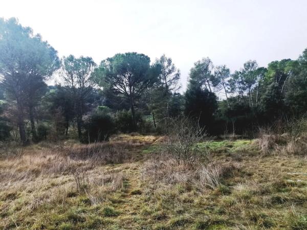 Terreno en Bellaterra