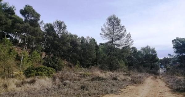 Terreno en Bellaterra