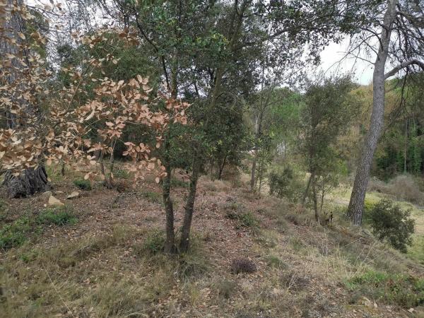 Terreno en Bellaterra