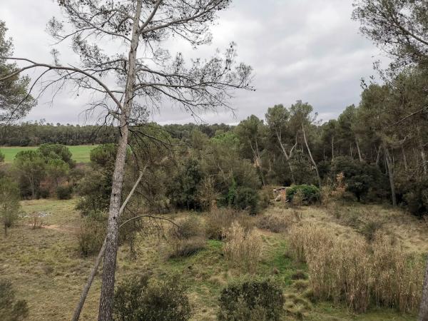 Terreno en Bellaterra