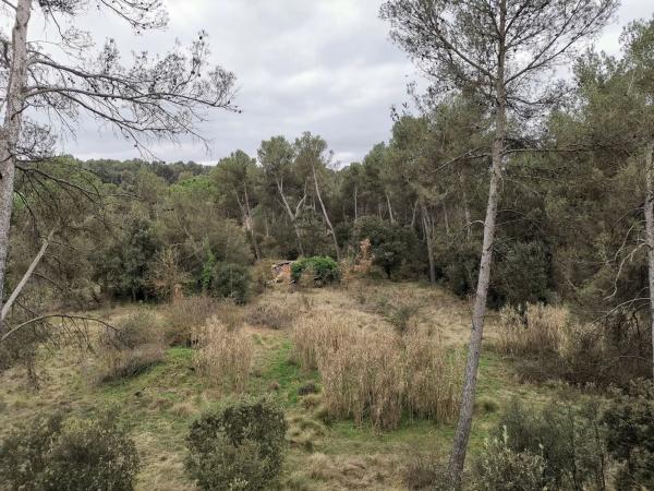 Terreno en Bellaterra