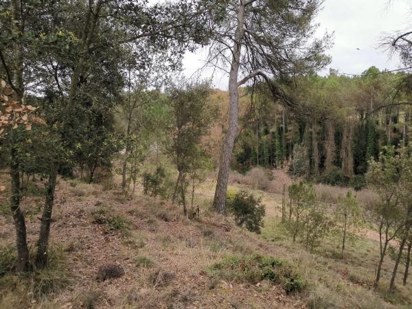 Terreno en Bellaterra
