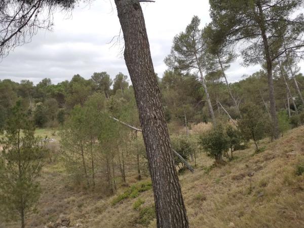 Terreno en Bellaterra